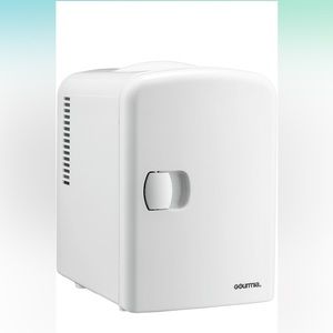 Mini Fridge with Cool and Warm Settings - Beauty Fridge